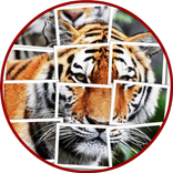 Tiger Puzzle