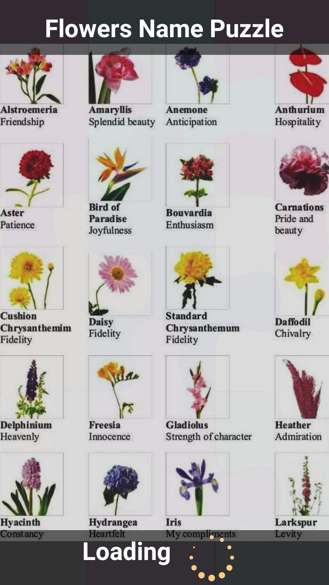 Flowers Name Photo / 10 Flowers Name In English In This Lesson We Will ...