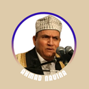 القرآن الكريم بصوت أحمد نعينع APK