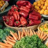 سعر الخضار في مصر