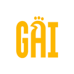 Gai Chicken & Rice