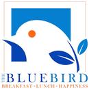 The Blue Bird App APK