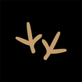 WILDBIRD