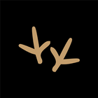 WILDBIRD biểu tượng