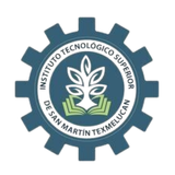 ITSSMT AI Coach biểu tượng
