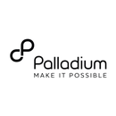 Palladium Interview Coach APK