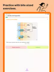 Sizzle - Learn Anything XAPK download