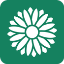 AI Writer - Create Context APK