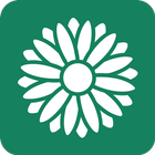 آیکون‌ AI Writer