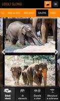 Údolí slonů 截圖 3