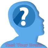Test Your Brain