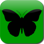 Animals Memory Game for Kids