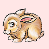 MiniFunnyBunnyFree icon