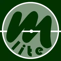 Mistermind Lite