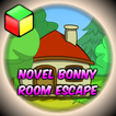 Roman Bonny Room Escape