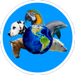 ABC with animals (English) icon