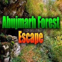 Abujmarh Forest Escape Affiche