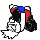 AIR de MMA 4 Android APK