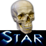 Anatomy Star - Head and Neck