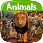 Icona Animals Dictionary