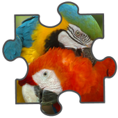 Animals Jigsaw Puzzle