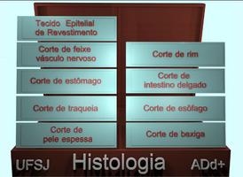Histologia_P1 Affiche
