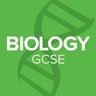 Biology GCSE-icoon