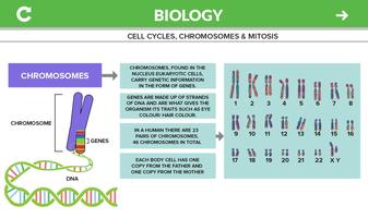 Biology GCSE capture d'écran 2