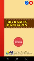 Big Kamus Mandarin captura de pantalla 1
