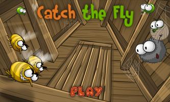 Catch the Fly Affiche