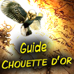 Guide de la chouette d'or