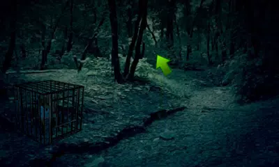 download Dark Forest Fox Escape APK