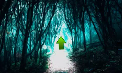 download Dark Forest Fox Escape APK