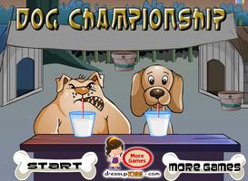 Championnat chien Affiche