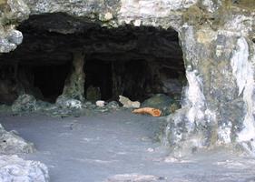 Escape Game - Dark Stone Cave penulis hantaran