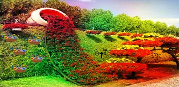Escape From Zingy Garden