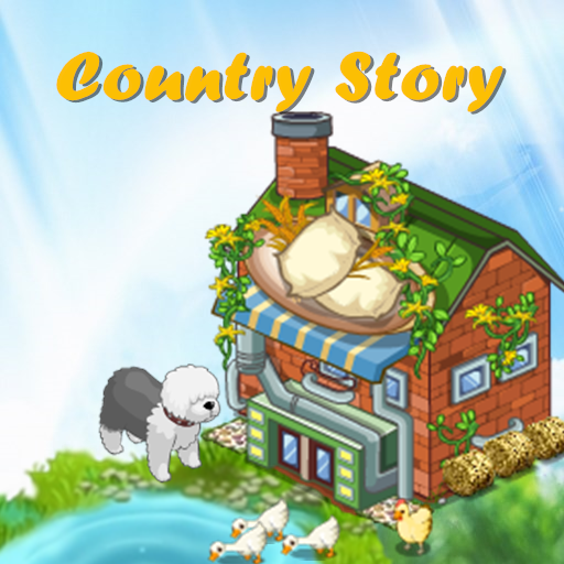 Country  Story