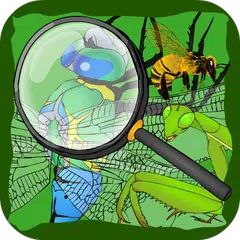 Find Hidden Stuff Game: Insect