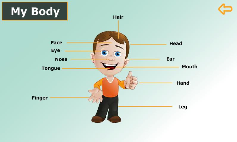 Body Parts in English. Body Parts hair. English for Kids приложение. Маска английский язык 2 класс
