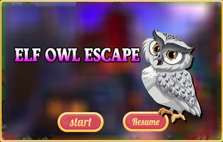 Elf Owl Escape Affiche