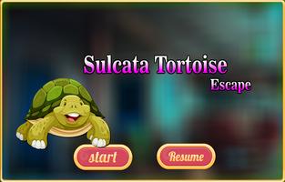 Sulcata Tortoise Escape Affiche