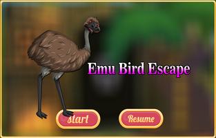 Emu Bird Escape Affiche