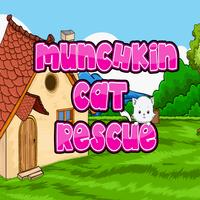 Munchkin Cat Rescue پوسٹر