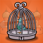 ikon Palace Pigeon Rescue