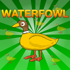 Waterfowl Rescue ไอคอน