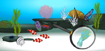 Trova roba Gioco: Pesce