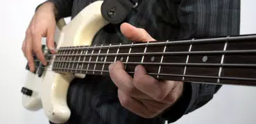 Bass Guitar Notes