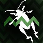 Leaf Beetle ID Guide آئیکن