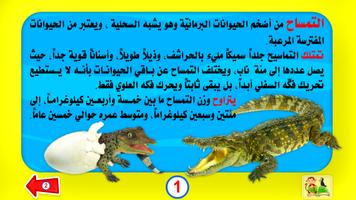 حيوانات مرحة تصوير الشاشة 3