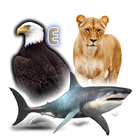 Animals Birds Fishes icon